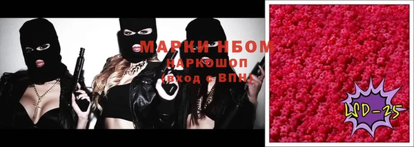 ПСИЛОЦИБИНОВЫЕ ГРИБЫ Зеленокумск
