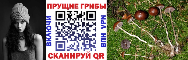 Купить закладки Лысково Галлюциногенные грибы ЛСД
